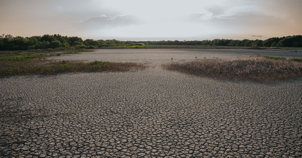 découvrez les lois sur le travail en période de canicule et comment protéger vos droits et votre santé au travail lors des vagues de chaleur.