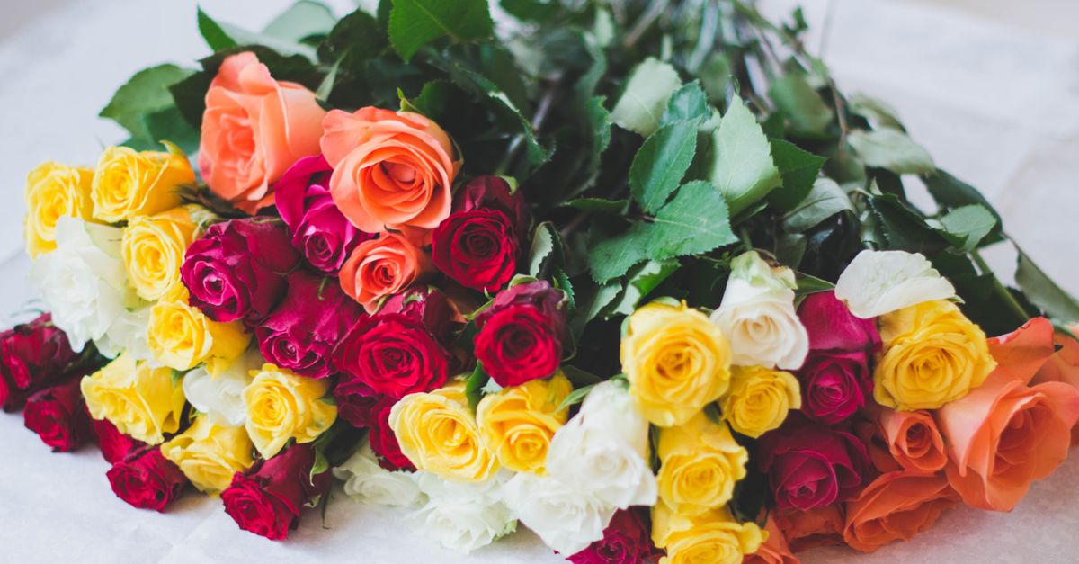 découvrez comment faire des boutures de rosiers pour multiplier vos plantes avec succès et obtenir de magnifiques fleurs.