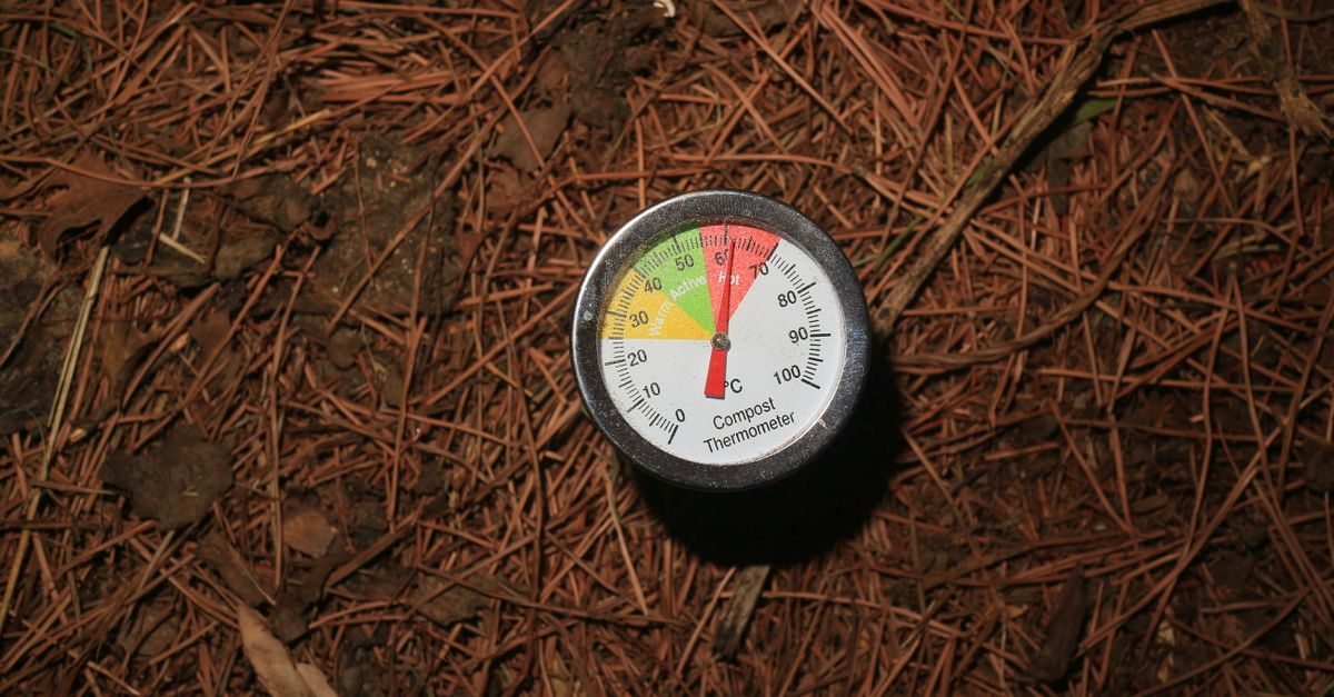 obtenez du compost gratuit de qualité pour enrichir votre jardin et favoriser une croissance saine des plantes. simple, écologique et accessible à tous.
