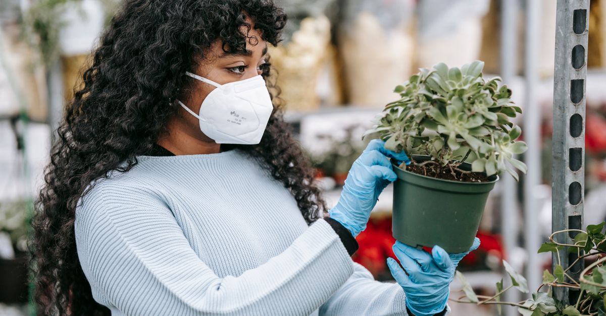 découvrez nos conseils essentiels pour assurer la sécurité dans votre jardin et prévenir les accidents.